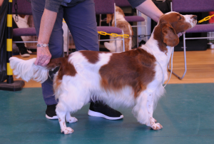 Soecial Beginners Bitch